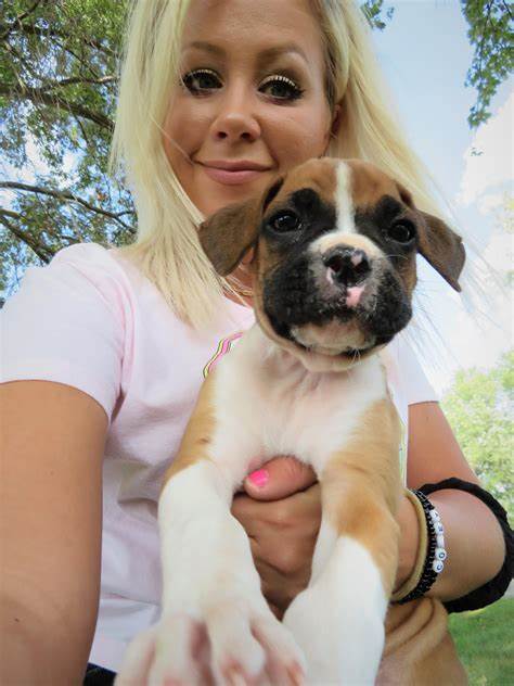 Happy Boxer Puppy Owner Jack M. - Boxer Puppies Near Me